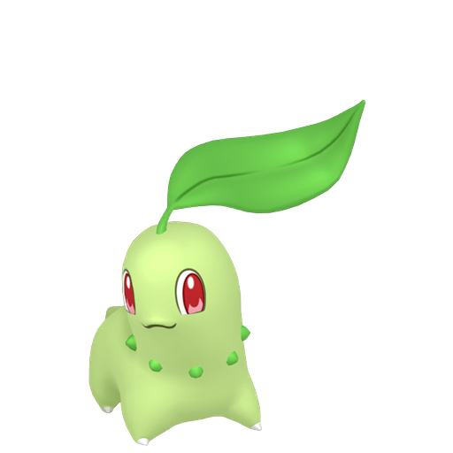 Chikorita