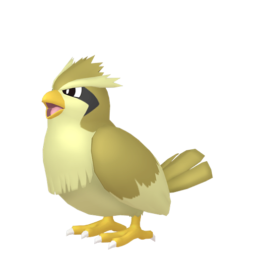 Pidgey