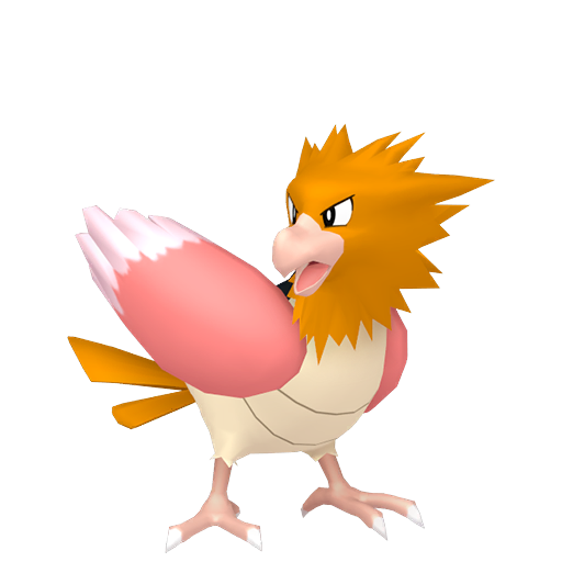 Spearow
