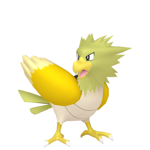 Spearow